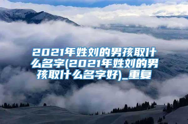2021年姓刘的男孩取什么名字(2021年姓刘的男孩取什么名字好)_重复
