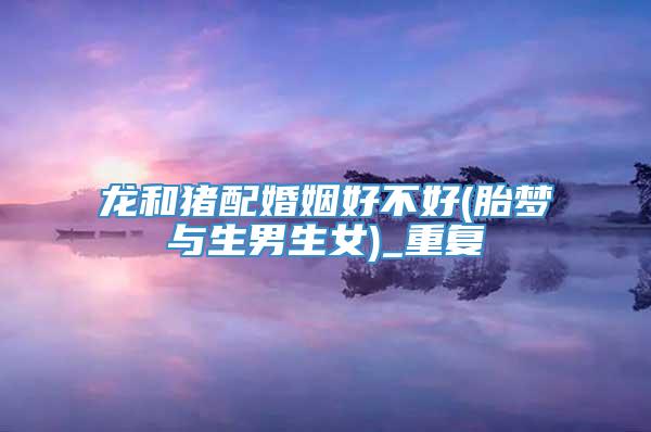 龙和猪配婚姻好不好(胎梦与生男生女)_重复