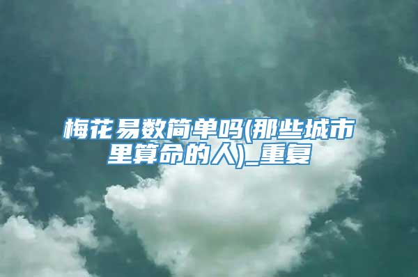梅花易数简单吗(那些城市里算命的人)_重复