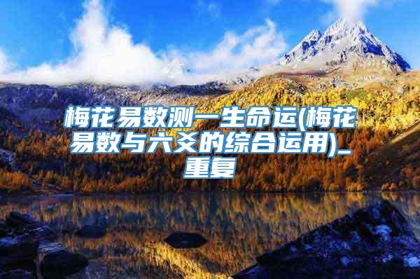 梅花易数测一生命运(梅花易数与六爻的综合运用)_重复