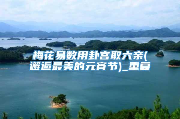 梅花易数用卦宫取六亲(邂逅最美的元宵节)_重复