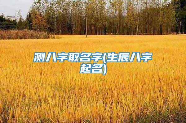 测八字取名字(生辰八字起名)