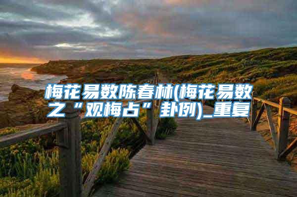 梅花易数陈春林(梅花易数之“观梅占”卦例)_重复