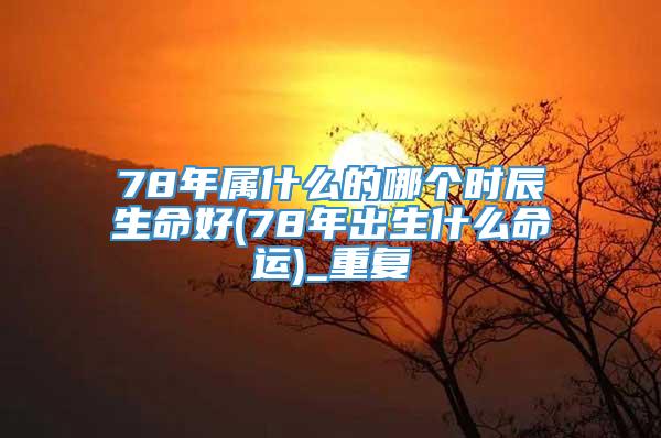 78年属什么的哪个时辰生命好(78年出生什么命运)_重复