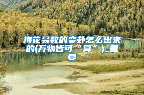 梅花易数的变卦怎么出来的(万物皆可“算”)_重复