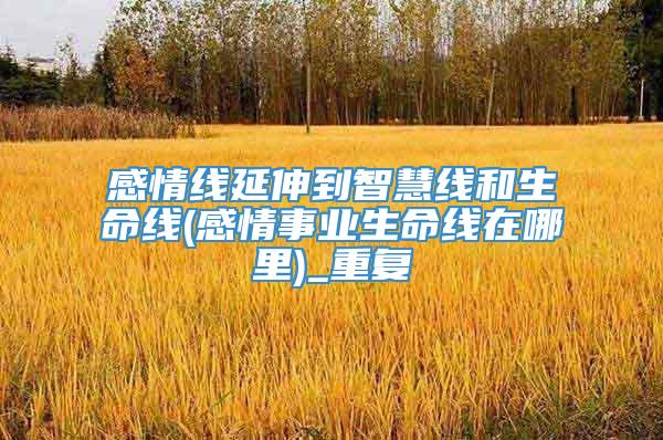 感情线延伸到智慧线和生命线(感情事业生命线在哪里)_重复