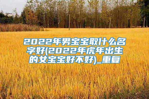 2022年男宝宝取什么名字好(2022年虎年出生的女宝宝好不好)_重复