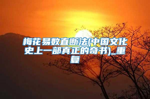梅花易数直断法(中国文化史上一部真正的奇书)_重复