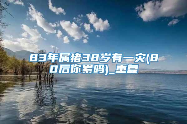 83年属猪38岁有一灾(80后你累吗)_重复