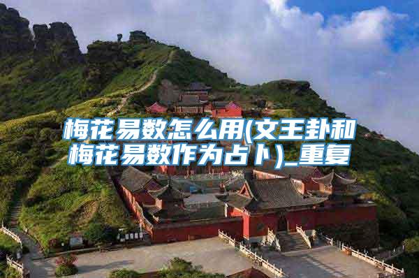 梅花易数怎么用(文王卦和梅花易数作为占卜)_重复