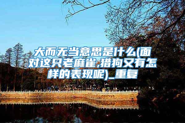 大而无当意思是什么(面对这只老麻雀,猎狗又有怎样的表现呢)_重复