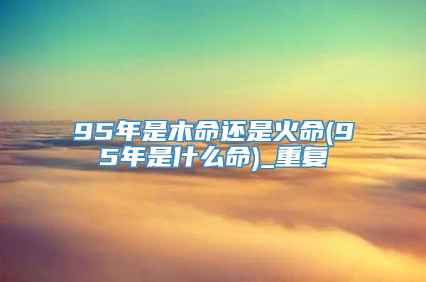 95年是木命还是火命(95年是什么命)_重复