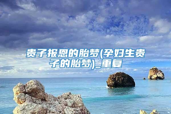 贵子报恩的胎梦(孕妇生贵子的胎梦)_重复