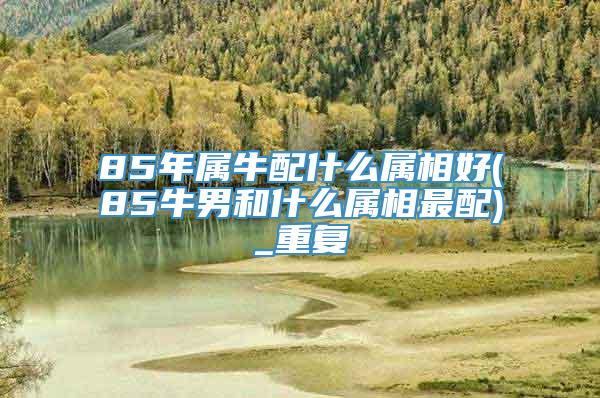 85年属牛配什么属相好(85牛男和什么属相最配)_重复