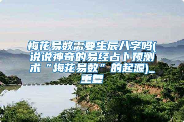 梅花易数需要生辰八字吗(说说神奇的易经占卜预测术“梅花易数”的起源)_重复