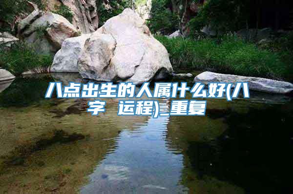 八点出生的人属什么好(八字 运程)_重复