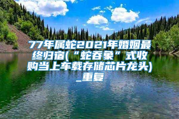 77年属蛇2021年婚姻最终归宿(“蛇吞象”式收购当上车载存储芯片龙头)_重复