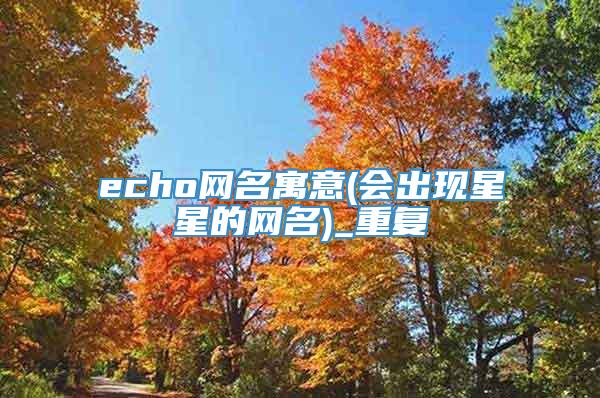 echo网名寓意(会出现星星的网名)_重复