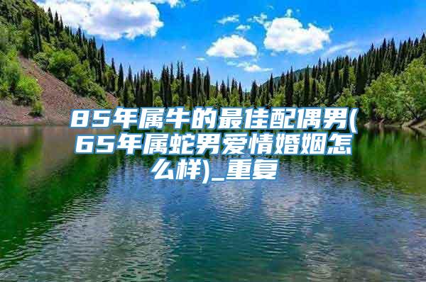 85年属牛的最佳配偶男(65年属蛇男爱情婚姻怎么样)_重复