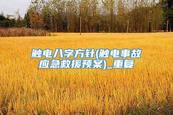 触电八字方针(触电事故应急救援预案)_重复