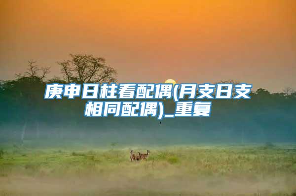 庚申日柱看配偶(月支日支相同配偶)_重复