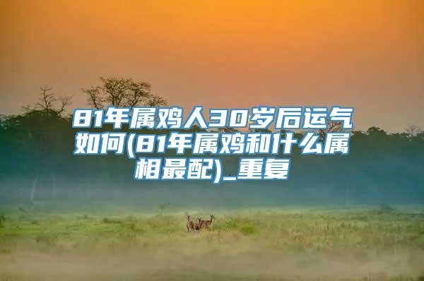 81年属鸡人30岁后运气如何(81年属鸡和什么属相最配)_重复