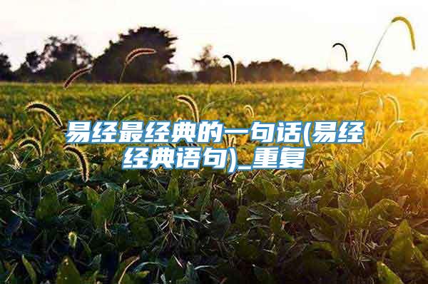易经最经典的一句话(易经经典语句)_重复