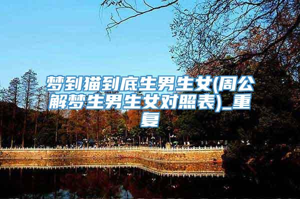 梦到猫到底生男生女(周公解梦生男生女对照表)_重复