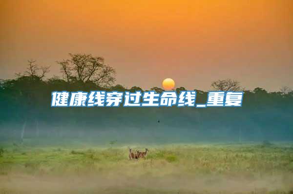 健康线穿过生命线_重复