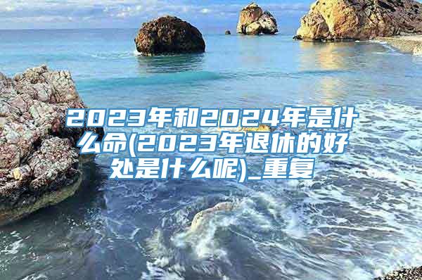 2023年和2024年是什么命(2023年退休的好处是什么呢)_重复