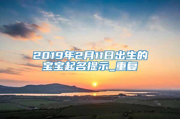 2019年2月11日出生的宝宝起名提示_重复