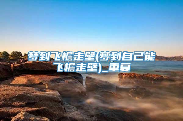 梦到飞檐走壁(梦到自己能飞檐走壁)_重复
