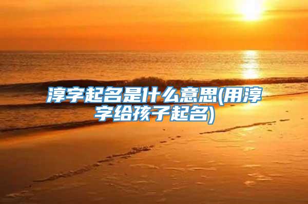 淳字起名是什么意思(用淳字给孩子起名)