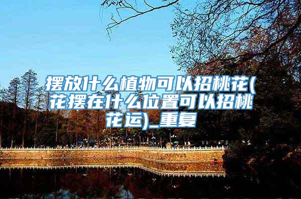 摆放什么植物可以招桃花(花摆在什么位置可以招桃花运)_重复