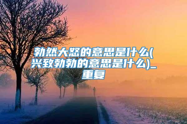 勃然大怒的意思是什么(兴致勃勃的意思是什么)_重复