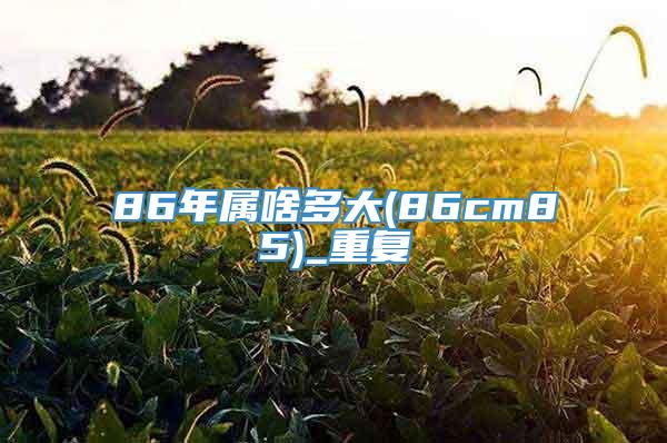 86年属啥多大(86cm85)_重复