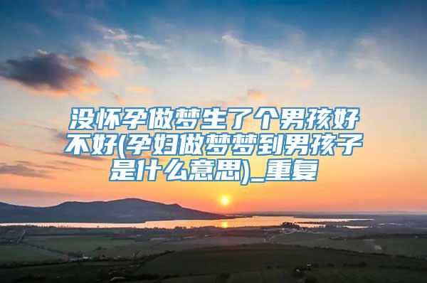 没怀孕做梦生了个男孩好不好(孕妇做梦梦到男孩子是什么意思)_重复