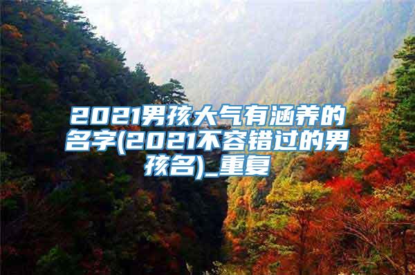 2021男孩大气有涵养的名字(2021不容错过的男孩名)_重复