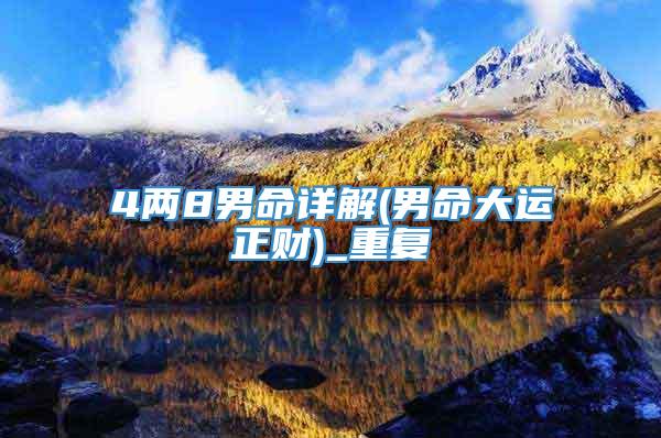 4两8男命详解(男命大运正财)_重复