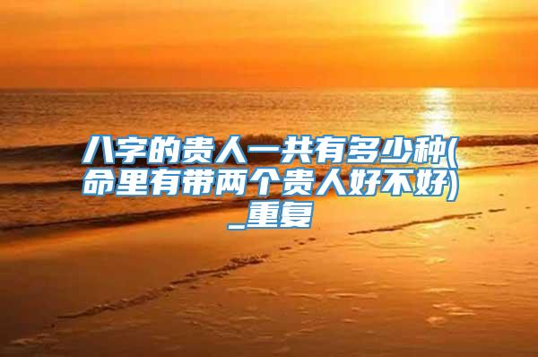 八字的贵人一共有多少种(命里有带两个贵人好不好)_重复