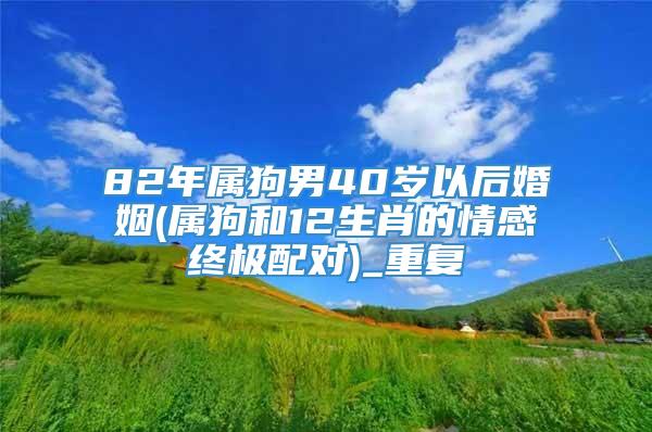 82年属狗男40岁以后婚姻(属狗和12生肖的情感终极配对)_重复