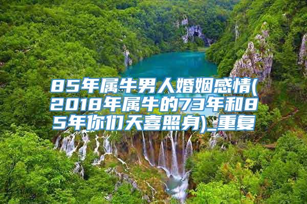 85年属牛男人婚姻感情(2018年属牛的73年和85年你们天喜照身)_重复