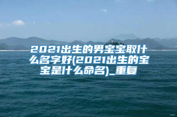 2021出生的男宝宝取什么名字好(2021出生的宝宝是什么命名)_重复