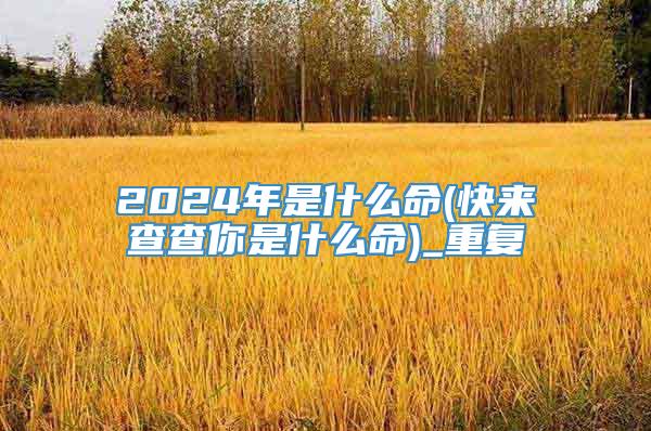 2024年是什么命(快来查查你是什么命)_重复