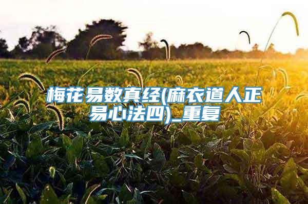 梅花易数真经(麻衣道人正易心法四)_重复