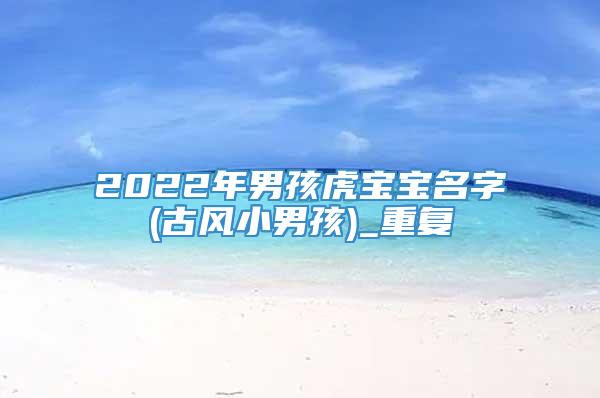 2022年男孩虎宝宝名字(古风小男孩)_重复