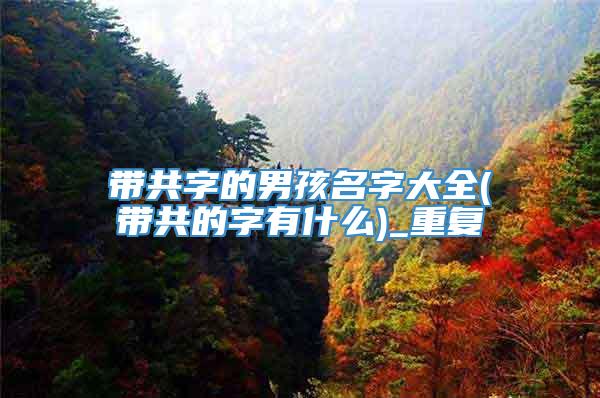 带共字的男孩名字大全(带共的字有什么)_重复