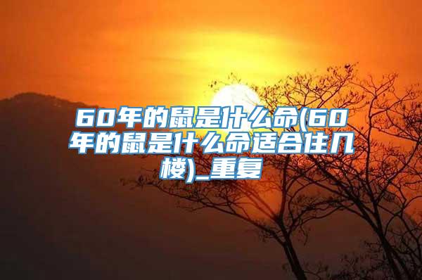 60年的鼠是什么命(60年的鼠是什么命适合住几楼)_重复