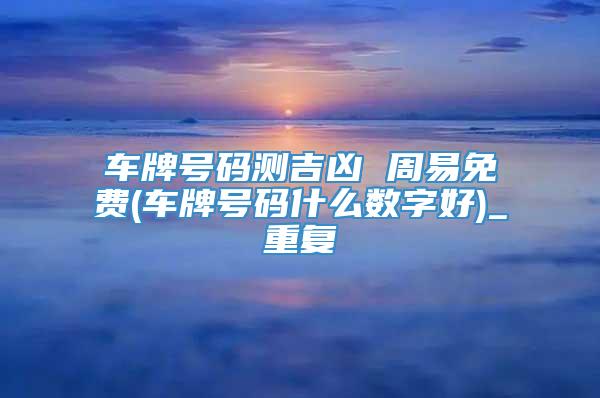 车牌号码测吉凶 周易免费(车牌号码什么数字好)_重复