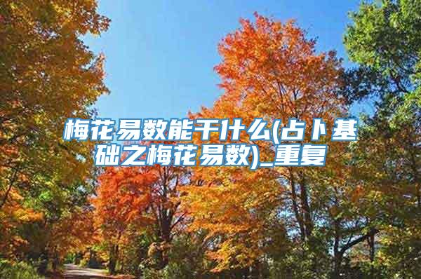 梅花易数能干什么(占卜基础之梅花易数)_重复